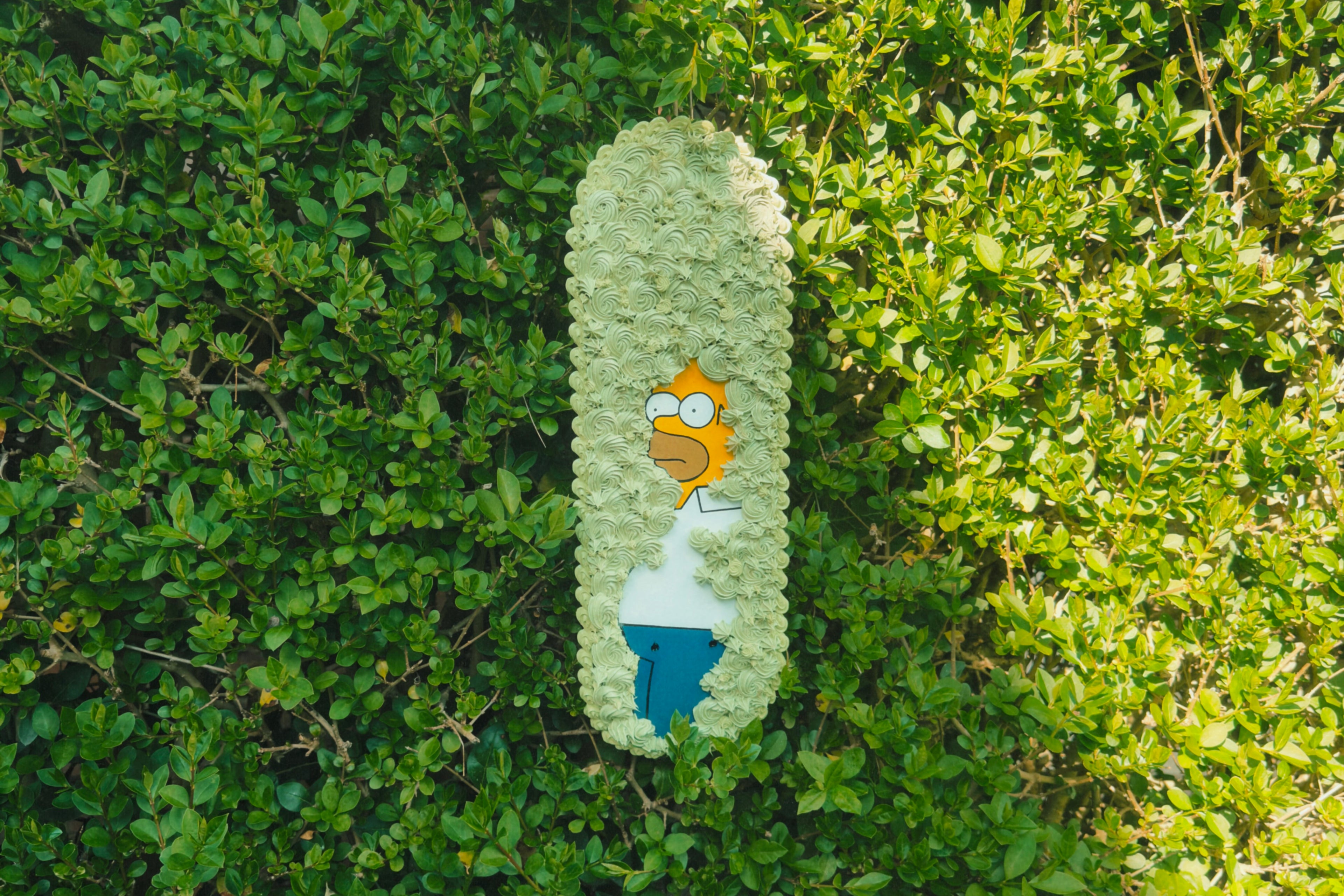 Homer in the bush Scakeboard