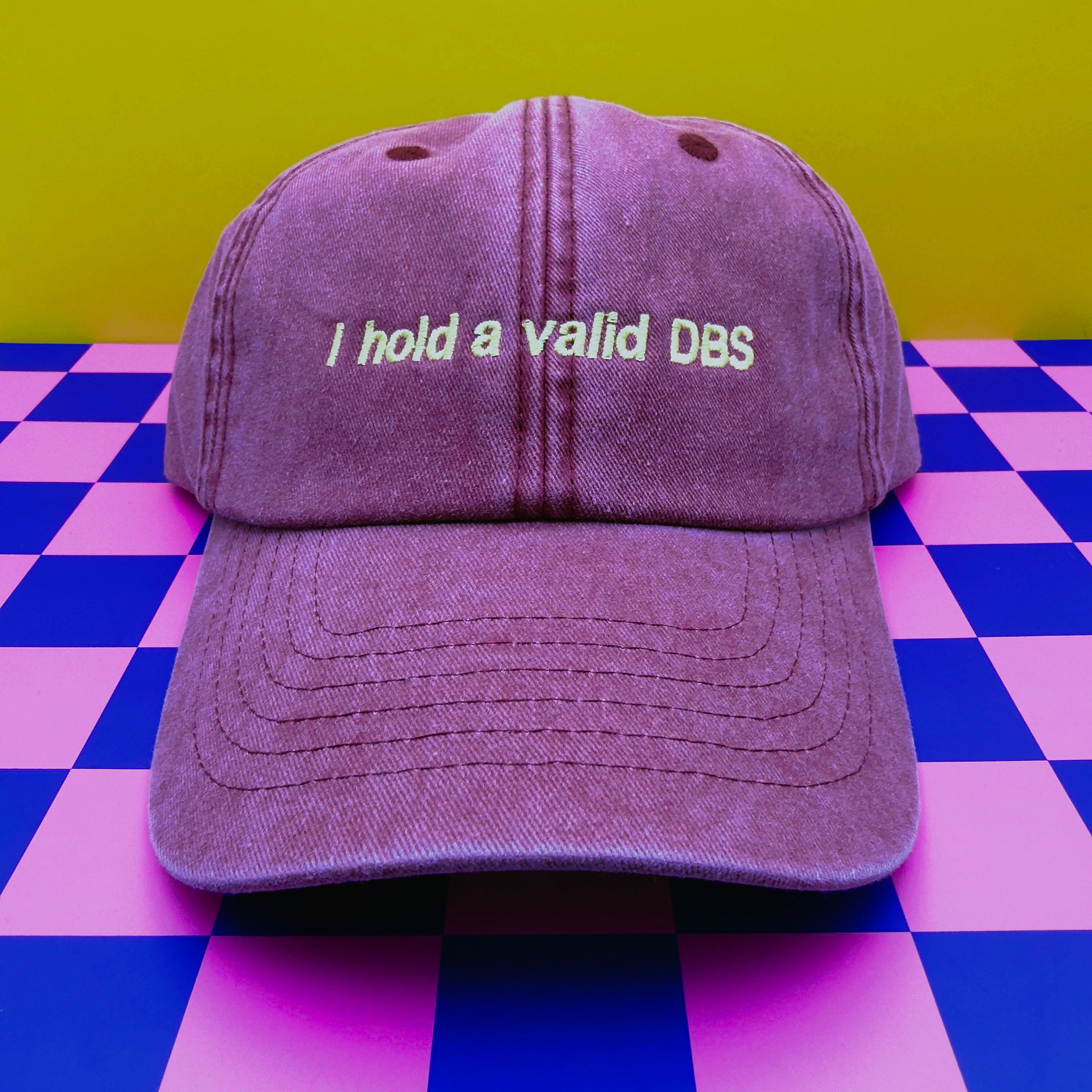 I hold a valid DBS hat