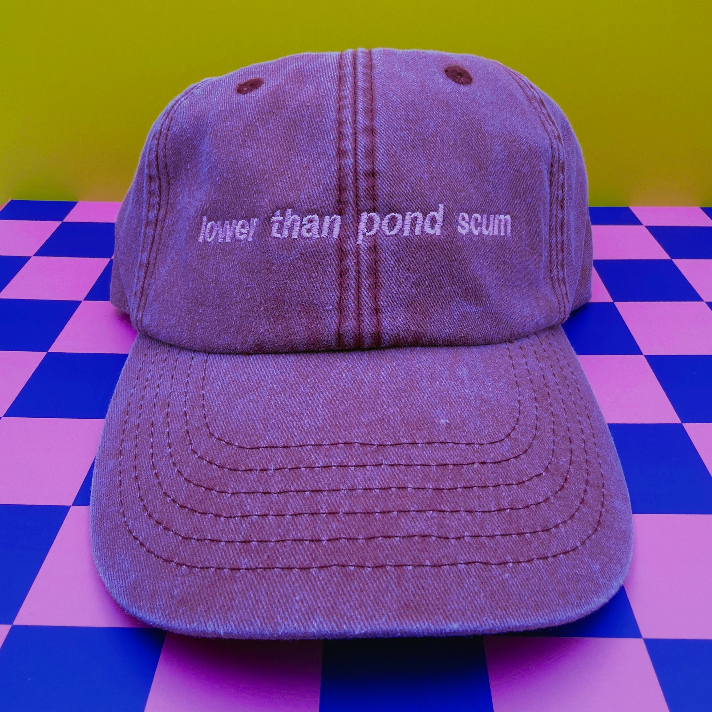 Lower than pond scum hat