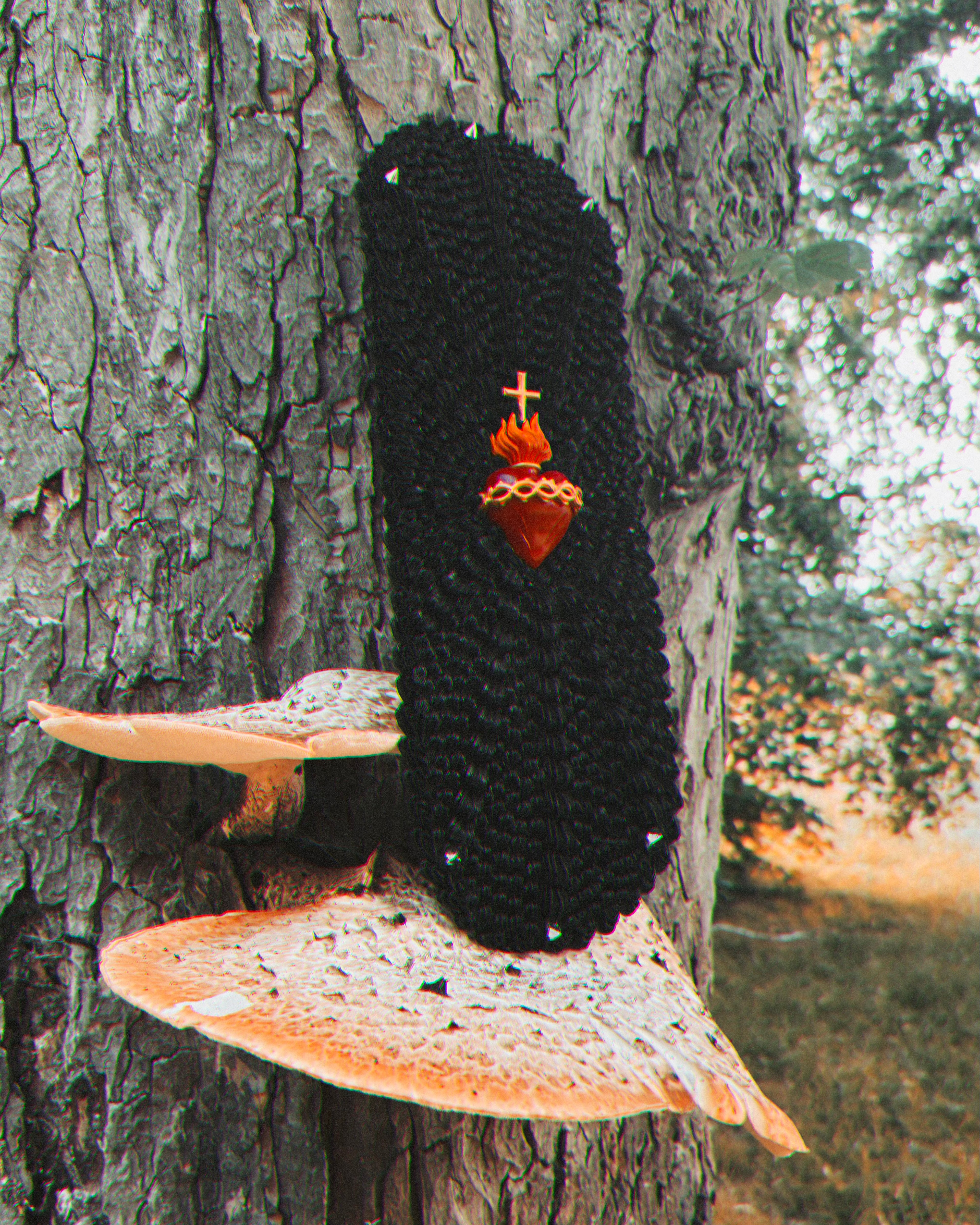 Sacred Heart Piped & Spiked Scakeboard